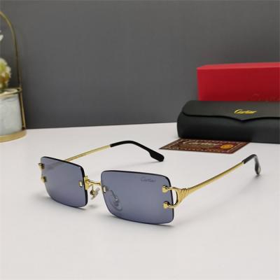 Cartier Sunglass AA 293